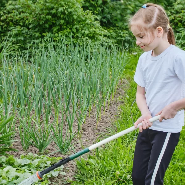 Alimentação e nutrição também são temas para a escola