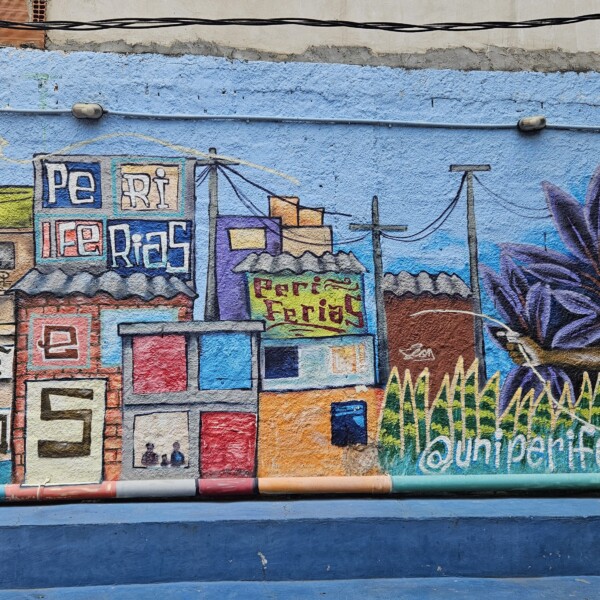 Desiderata inicia segunda fase de Pesquisa de Favelas para avaliar ambiente alimentar e estado nutricional de crianças